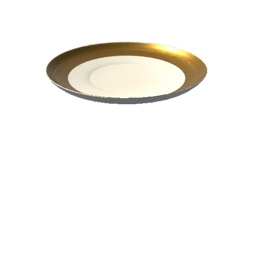 saucer (1)